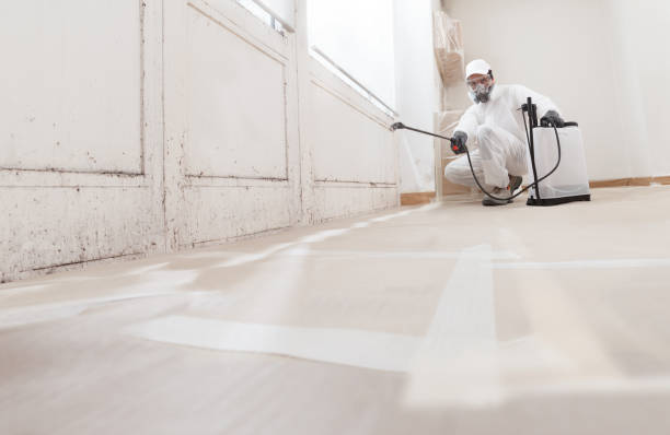 Black mold remediation team in Fayetteville